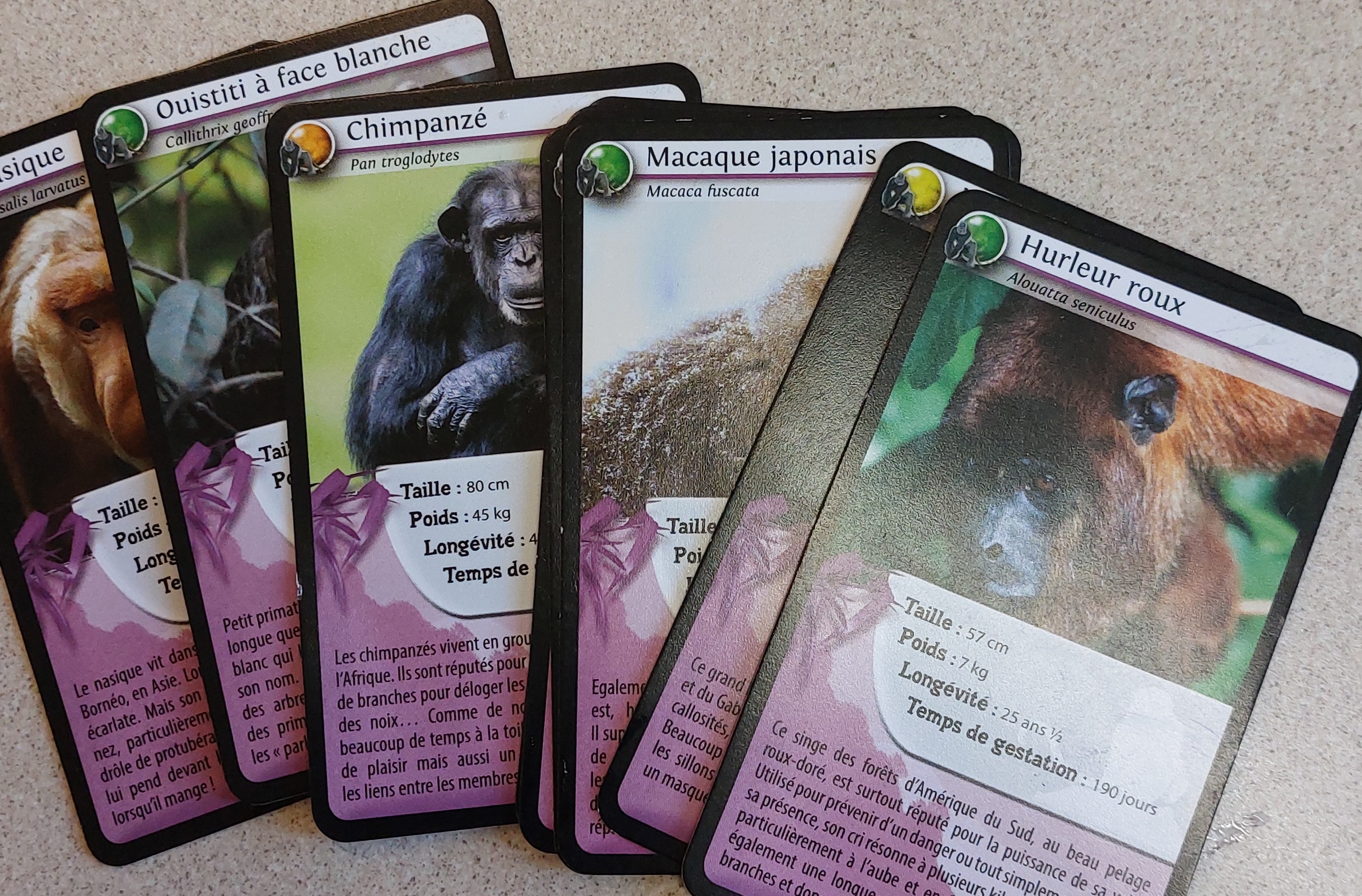 primate cartes